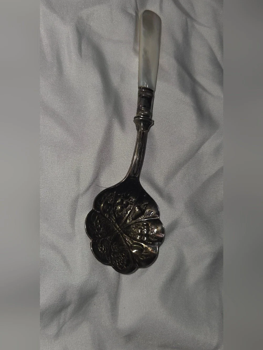 Silver Toned Decorative Serving Spoon with Mother-of-Pearl Handle